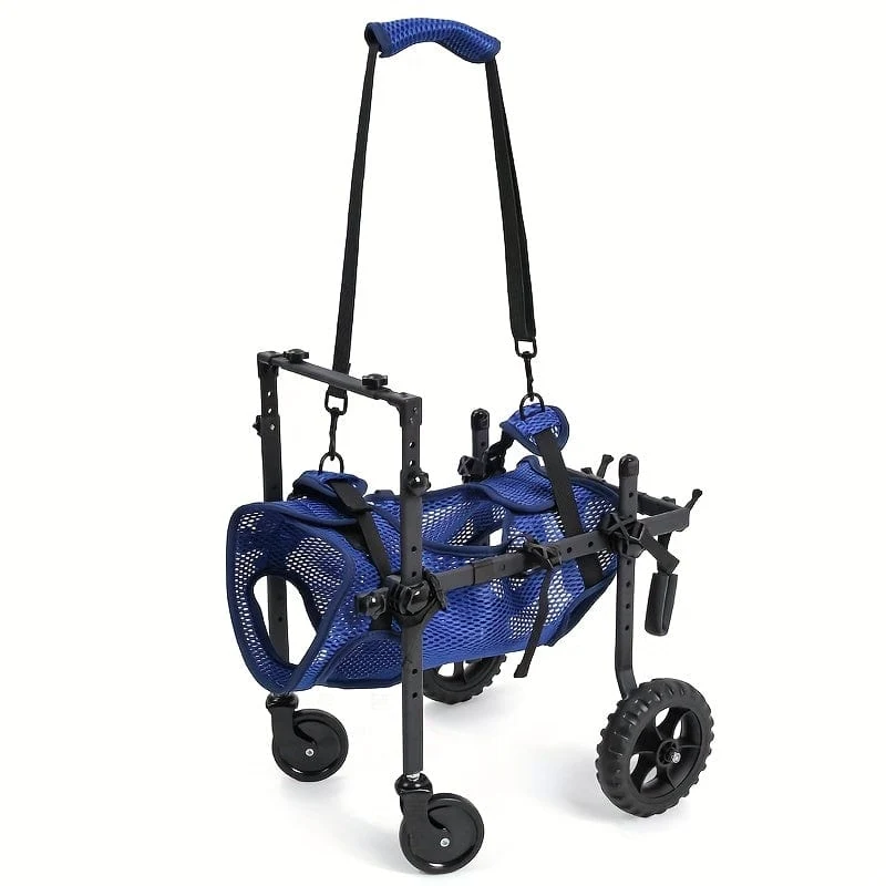 Fauteuil roulant pour chien – mobilité, rééducation et confort