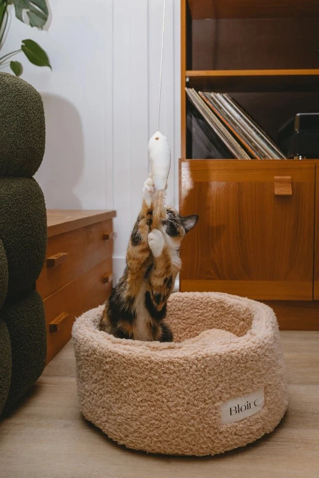 Panier en sherpa ultra doux pour chat Ecocat 🐱