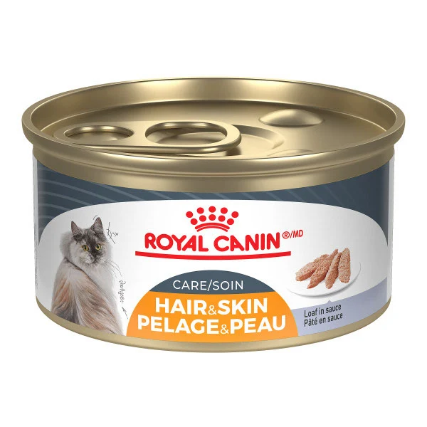 Royal Canin - Chat Soin Pelage et Peau Pâté en Sauce - Nourriture Humide pour Chats