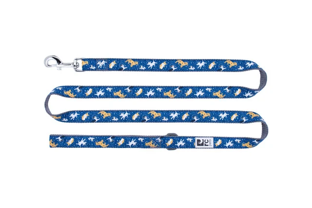 Laisse RC Pet - Chien astronaute