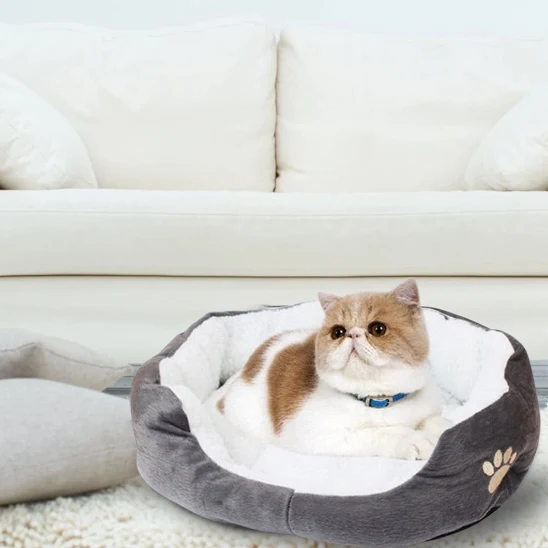 Panier chat - NapCat™