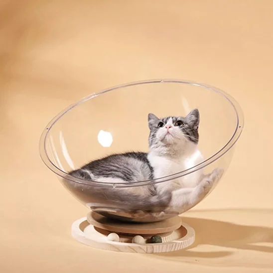 Lit chat - CurvPet™