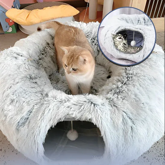 Lit chat - KittyRing™