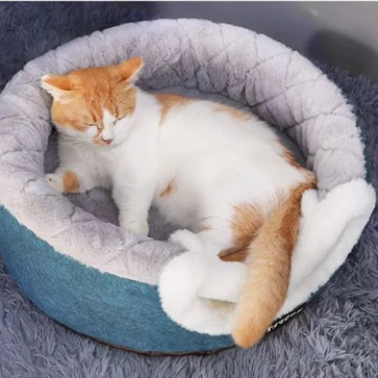 Panier pour chat - RoyalPaws™