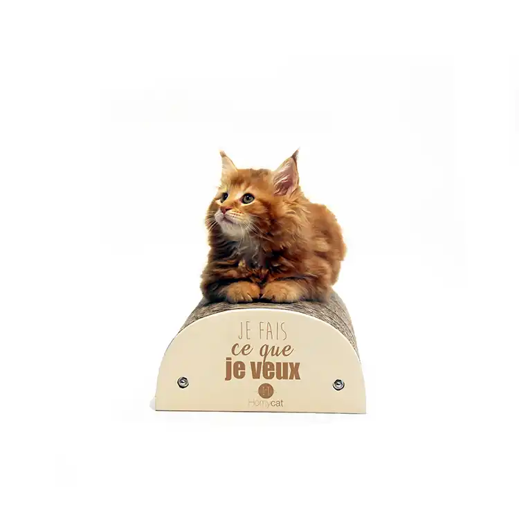 Griffoir chat "Je fais ce que je veux"