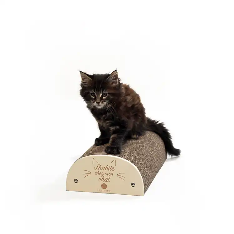 Griffoir "J'habite chez mon chat"
