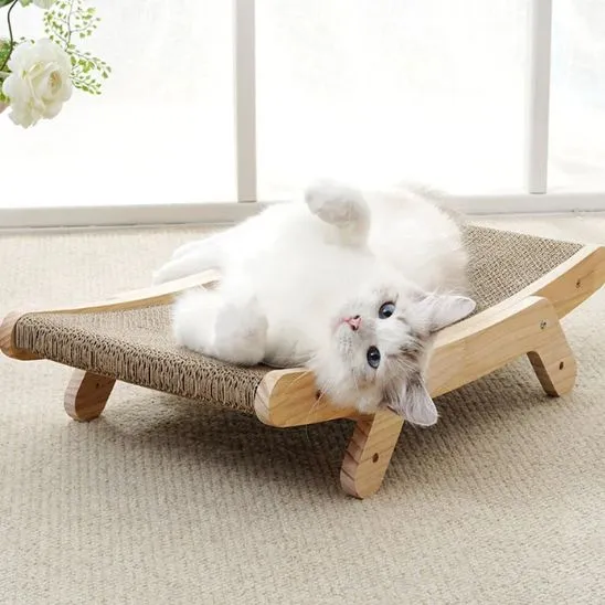 Griffoir à chat - ClawCraft™