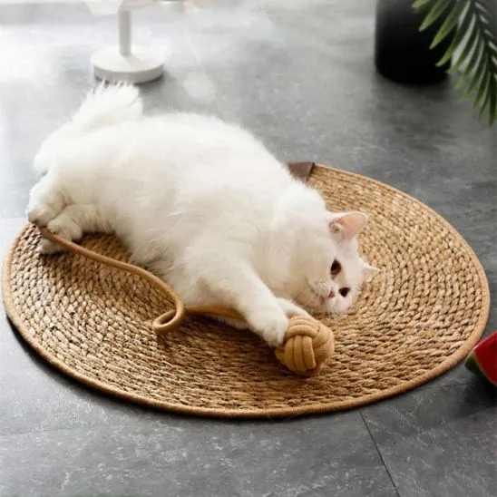 Griffoir pour chat - KittyClaws™