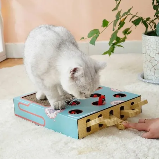 Griffoir chat - ScratchPaws™