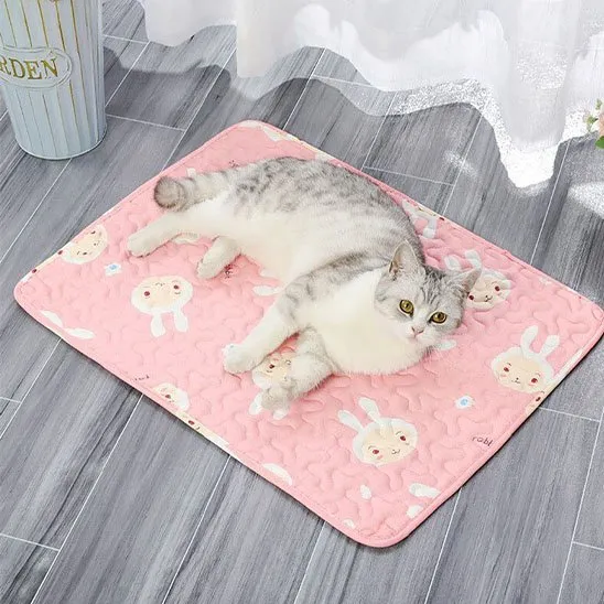 Tapis fraicheur chat | Éden Frais