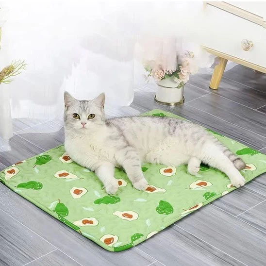 Tapis fraicheur chat | Éden Frais