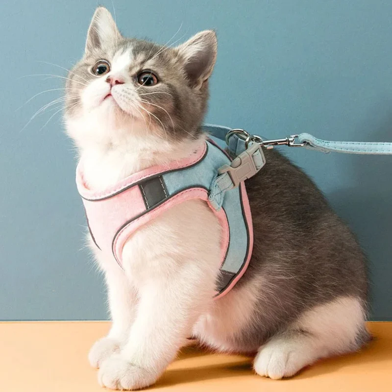 harnais chat | Comfort Harness