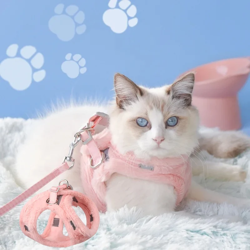 harnais chat | WINTERHARNESS