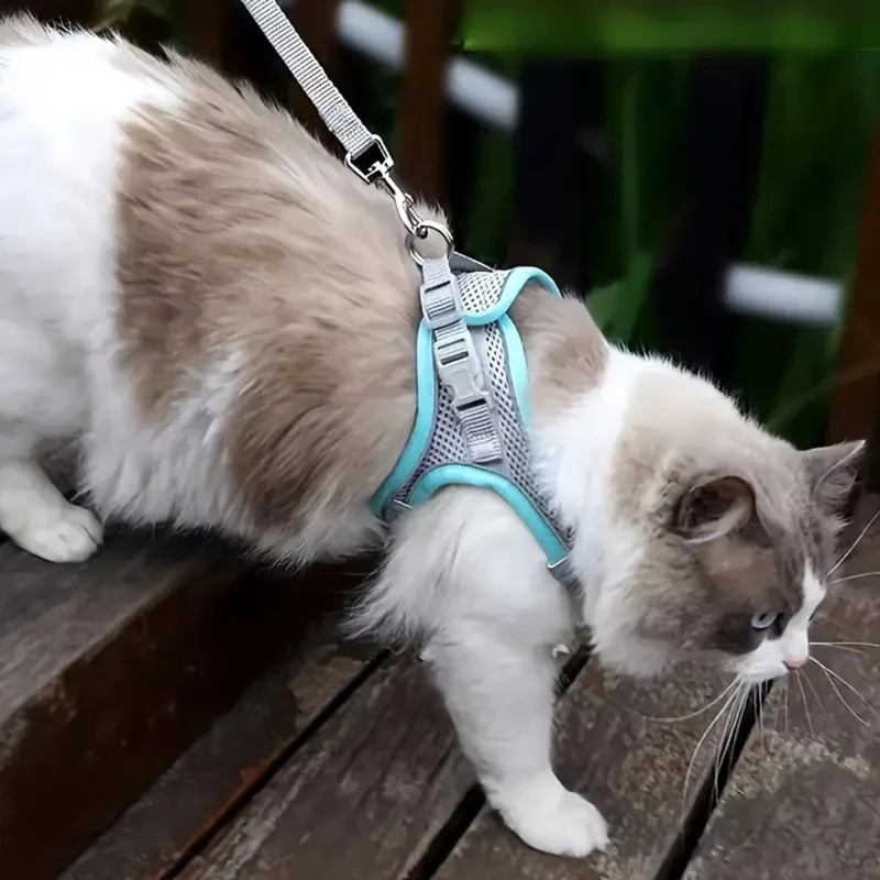 harnais chat anti-fugue| EXPLORER HARNESS