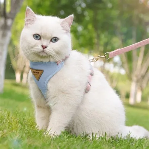 harnais pour chat | LIBERTÉ SÉCURISÉE