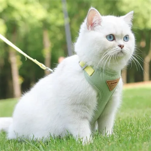 harnais pour chat | LIBERTÉ SÉCURISÉE