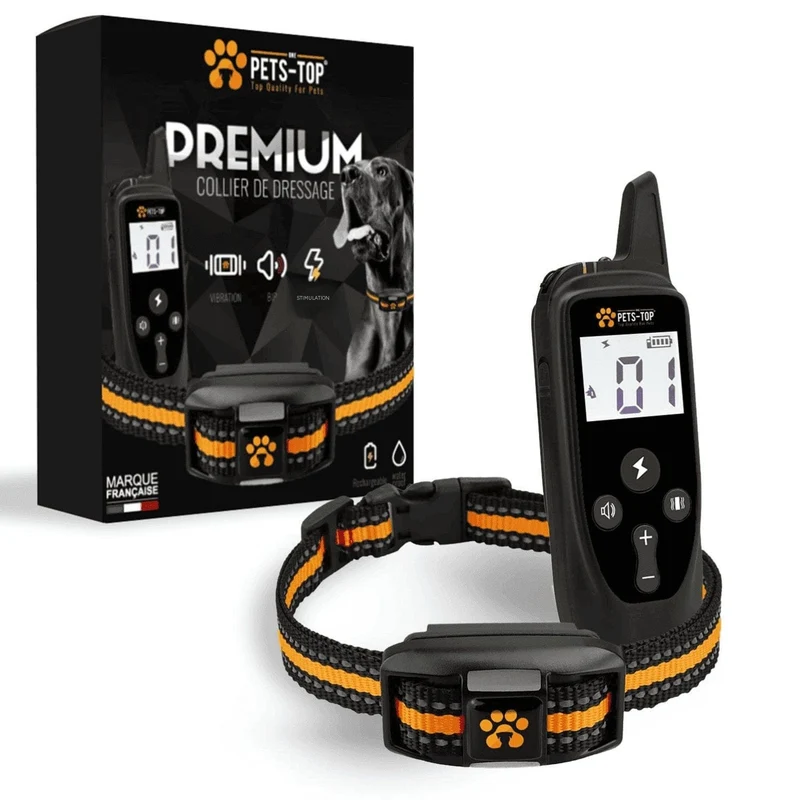 Collier de dressage anti-aboiement pour chien