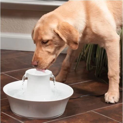 Drinkwell - Fontaine en céramique pour animaux de compagnie Avalon - Blanc