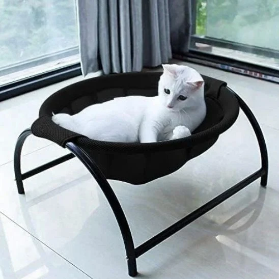 Hamac chat - ComfyCats™