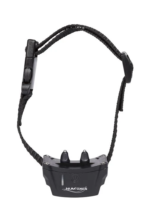 Collier anti-fugue Canifugue chien