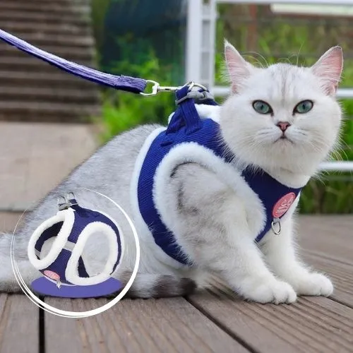 harnais chat chaud