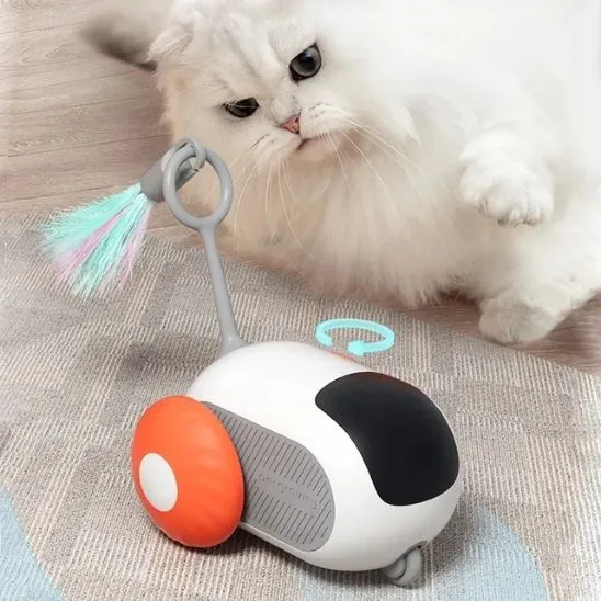jouet chat interactif | Voiture Curieuse
