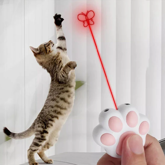 laser chat | Laser de Pattes