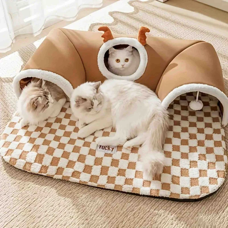 jouet interactif pour chat tunnel tapis