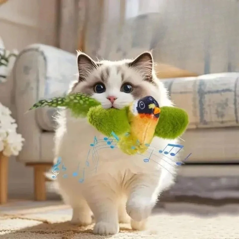 oiseau pour chat | Oiseau Taquin
