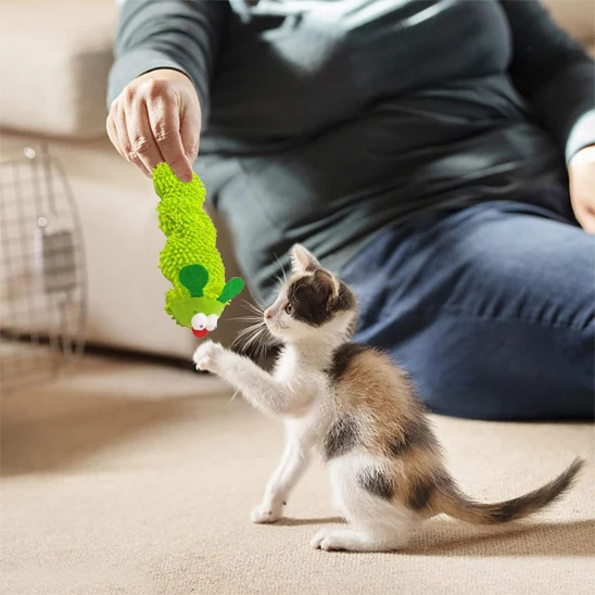 jouet chat | Chenille Herbacée