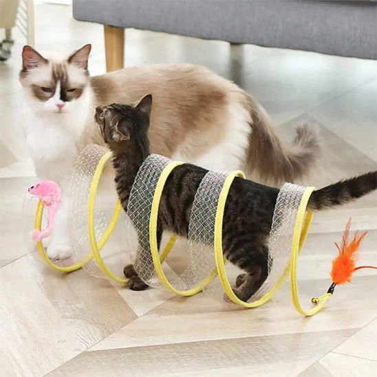 jouet chat | Curieux Tourbillon