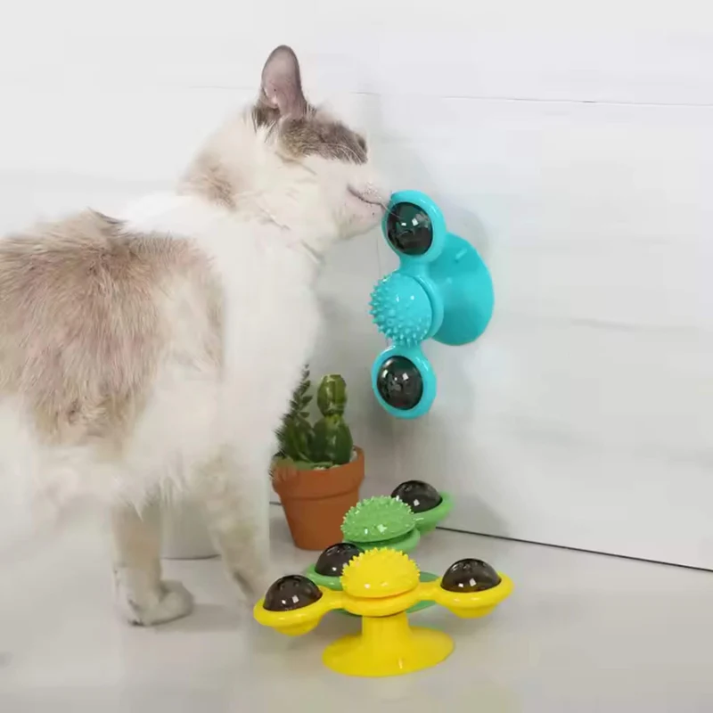 jeu interactif chat | Tourniquet