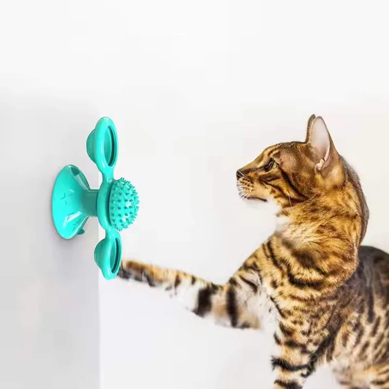 jeu interactif chat | Tourniquet