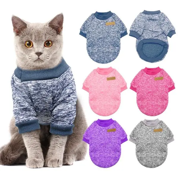 Pull pour Chat Chic