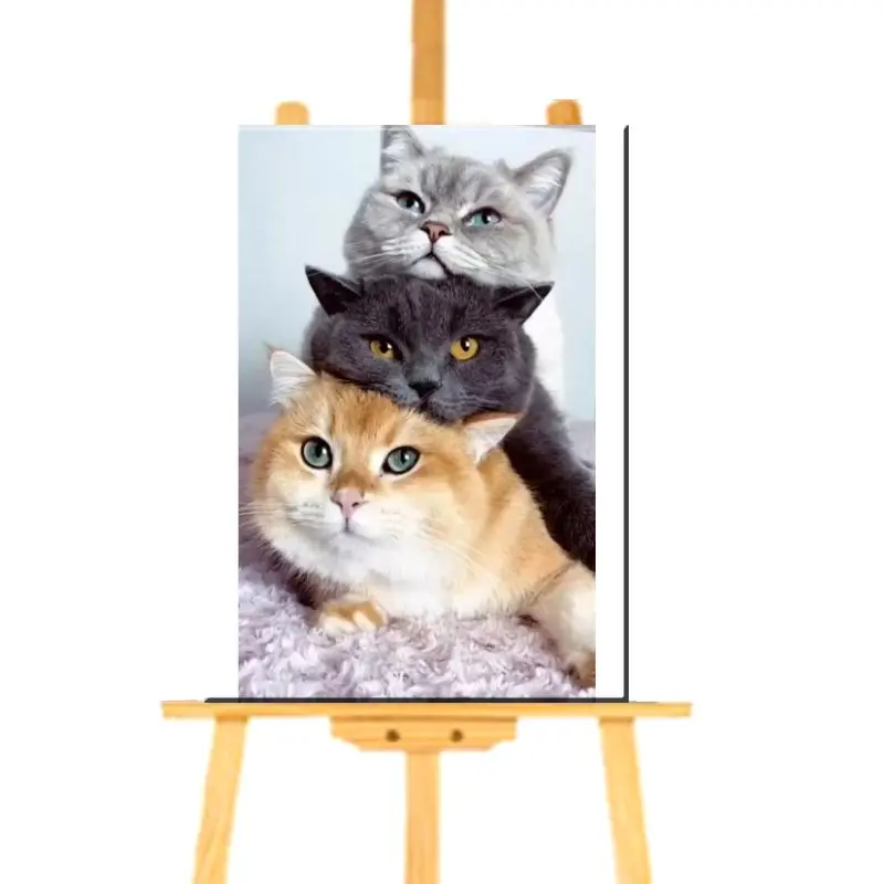 Peinture par numéro de Trois British Shorthair