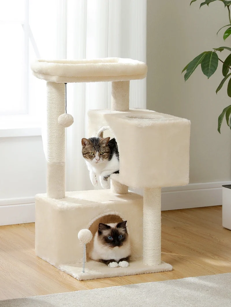 Arbre a Chat Chaton
