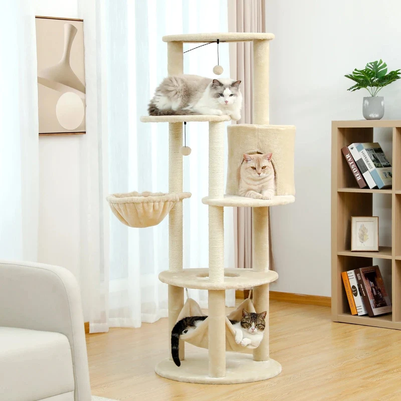 Arbre a Chat Tour