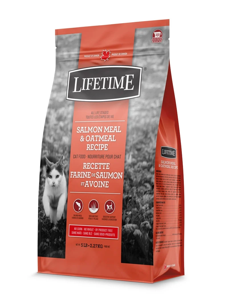 Lifetime - Chat Saumon et Avoine - Nourriture Sèche pour Chats