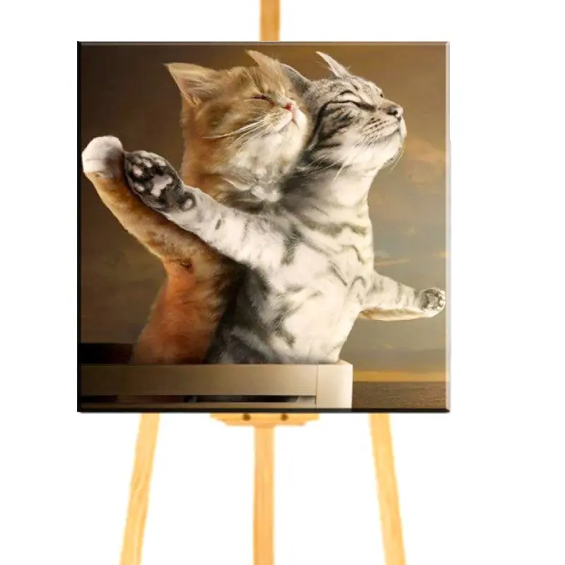 Peinture par Numéro Chats sur le Titanic